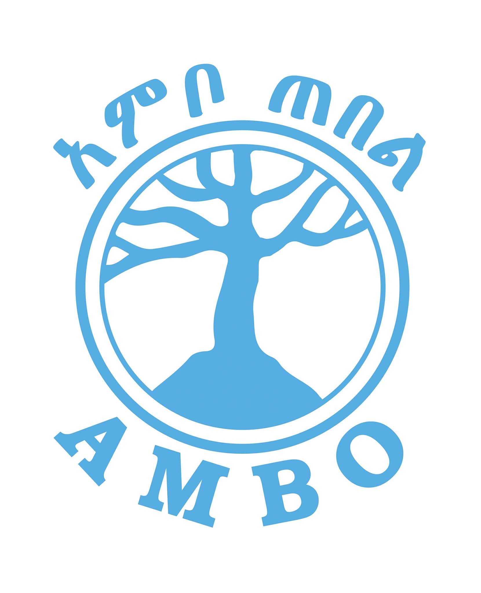 Ambo campaign artwork from the school activation album